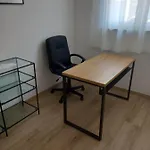 Vista